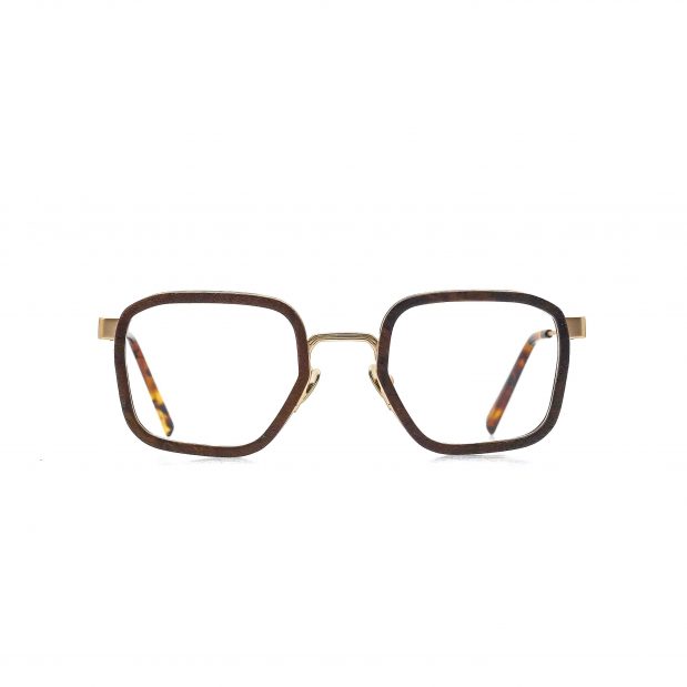 Hector - Optique